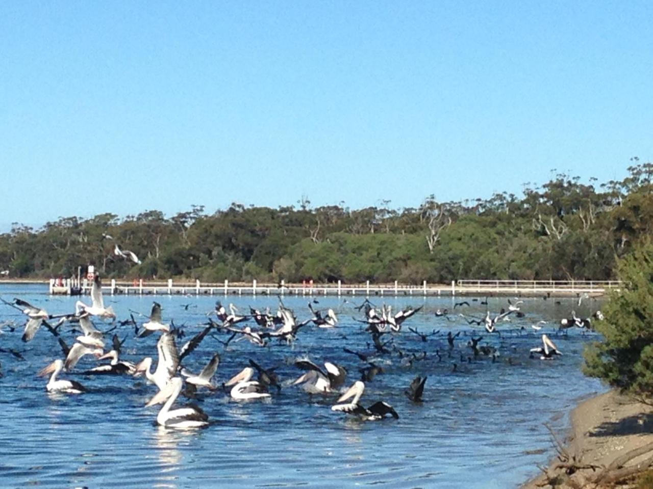 Swan Cove Beachfront Holiday home